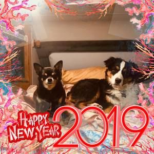 Meet your Posher, Steve